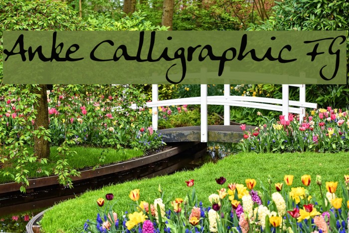 Anke Calligraphic FG フォント examples