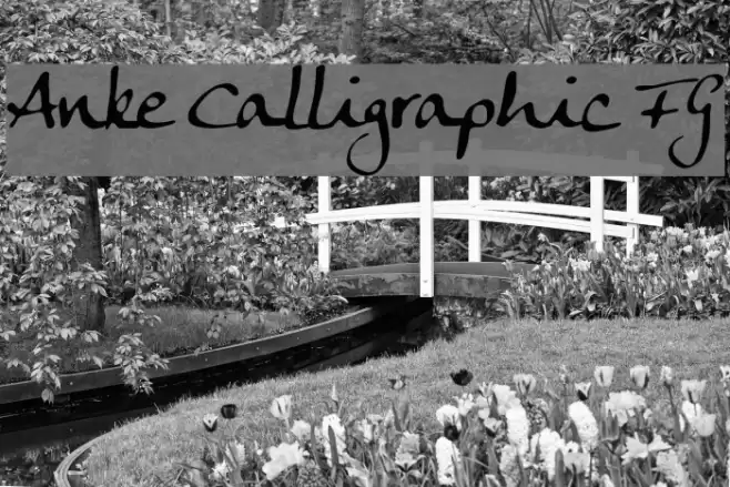 Anke Calligraphic FG Font examples
