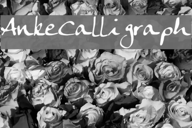 AnkeCalligraph Font examples