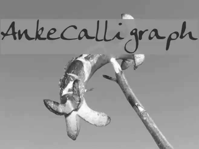 AnkeCalligraph Font examples