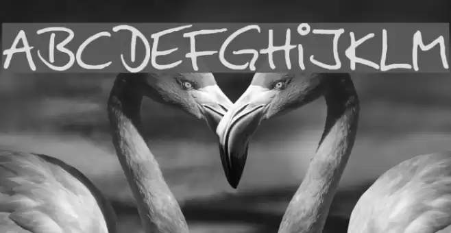 AnkeHand Fonte examples