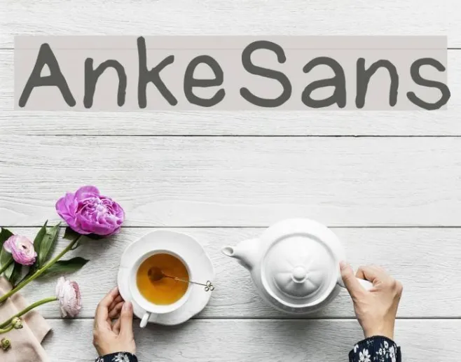 AnkeSans Example 1