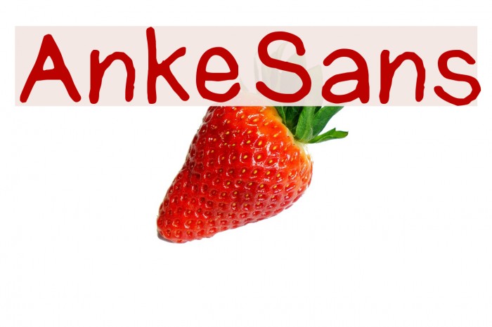 AnkeSans Font examples