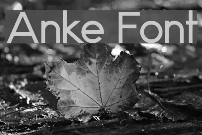 Anke Font examples