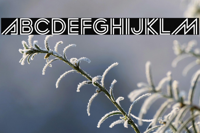 Ankh Sanctuary Example 2