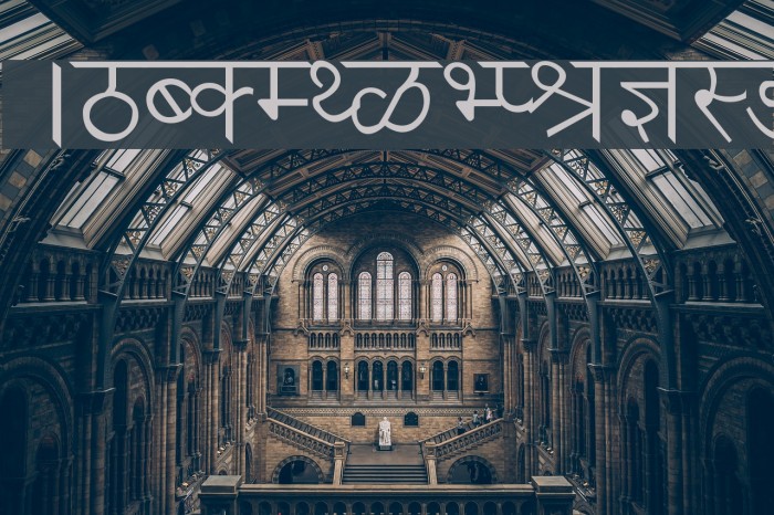Ankit Font examples