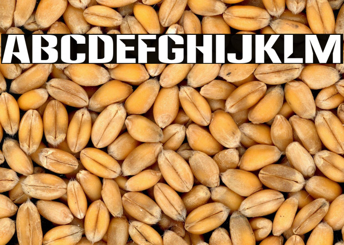 Anklepants-Regular Example 1