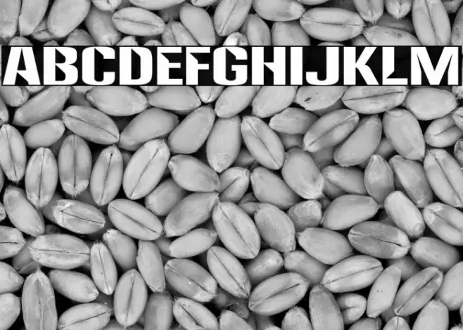 Anklepants-Regular Font examples