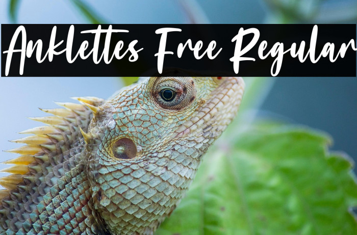 Anklettes Free Regular Example 2