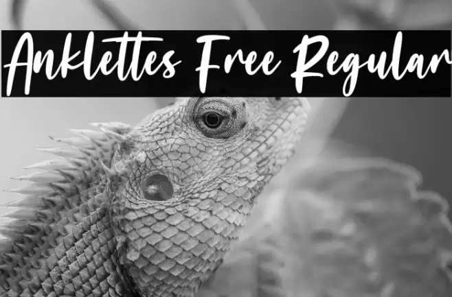 Anklettes Free Regular フォント examples