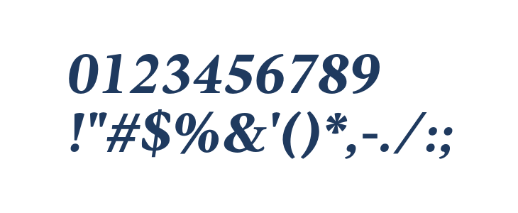 AnkoPersonalUse-BoldItalic Other Characters