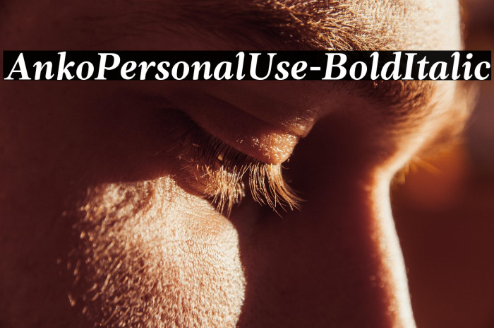 AnkoPersonalUse-BoldItalic Example 1