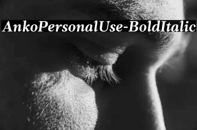 AnkoPersonalUse-BoldItalic Font examples