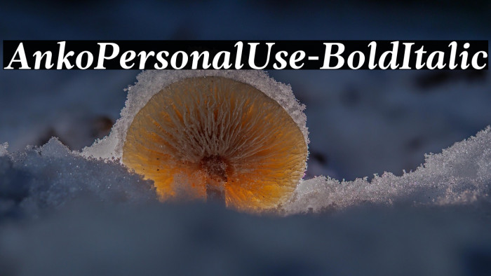 AnkoPersonalUse-BoldItalic Example 3
