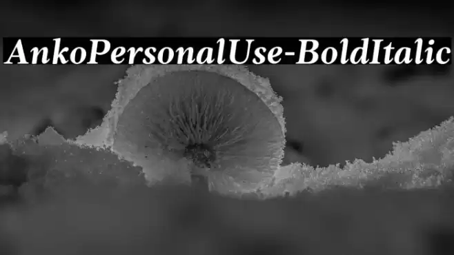 AnkoPersonalUse-BoldItalic Font examples
