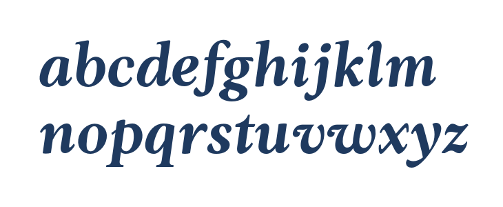 AnkoPersonalUse-BoldItalic Lowercase