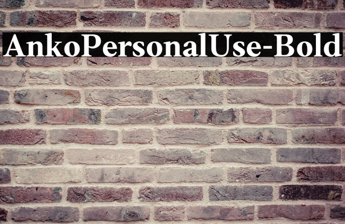 AnkoPersonalUse-Bold Example 1