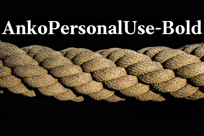 AnkoPersonalUse-Bold Example 2