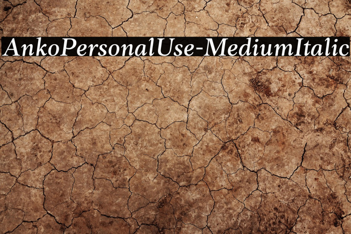AnkoPersonalUse-MediumItalic Example 3