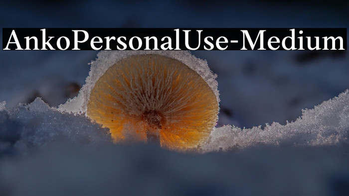 AnkoPersonalUse-Medium Example 3