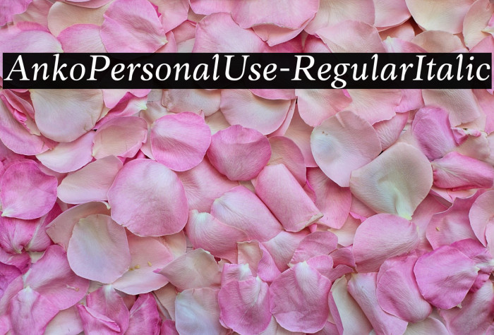 AnkoPersonalUse-RegularItalic Example 1