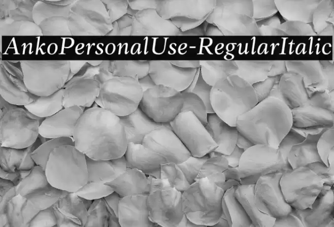 AnkoPersonalUse-RegularItalic Schriftart examples