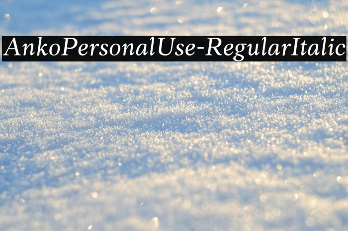 AnkoPersonalUse-RegularItalic Example 3