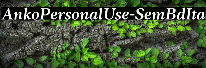 AnkoPersonalUse-SemBdIta Example 2