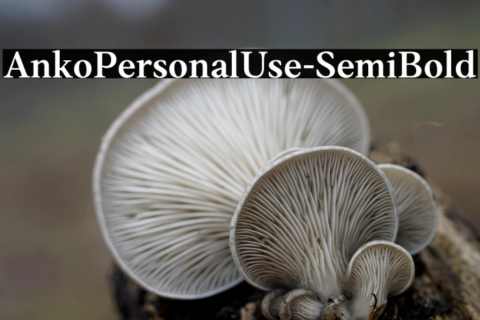 AnkoPersonalUse-SemiBold Example 1