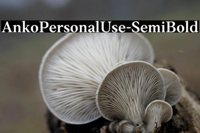 AnkoPersonalUse-SemiBold Example 1