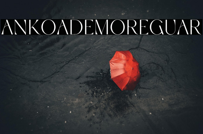 Ankoa Demo Regular Example 2