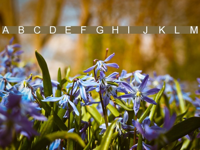 Anlongvill Khek Fixed Font examples