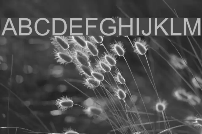 Anlongvill Khek1 Font examples