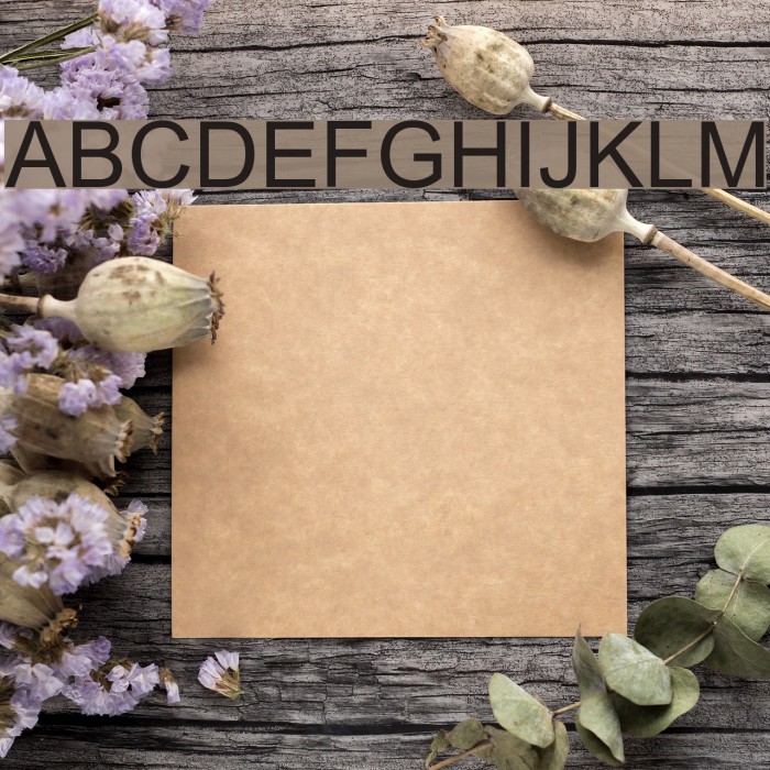 Anlongvill Khek Font examples