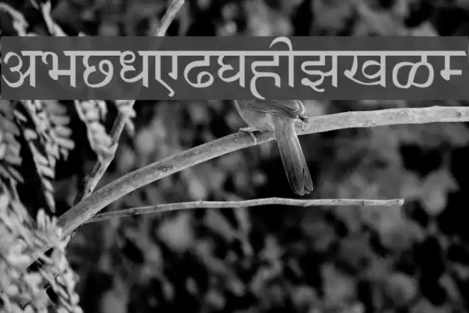 AnmolHindi Font examples