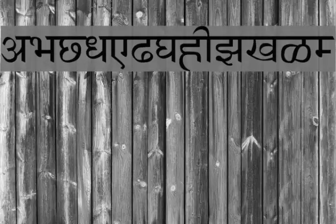 AnmolHindi Font examples