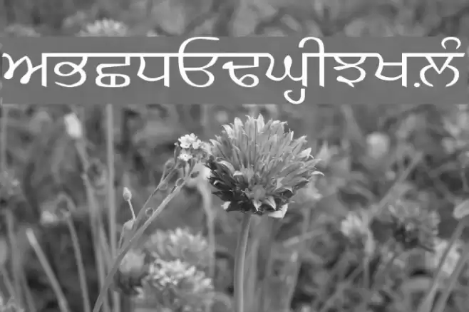 AnmolKalmi Font examples