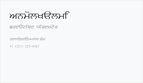 AnmolKalmi Business Card