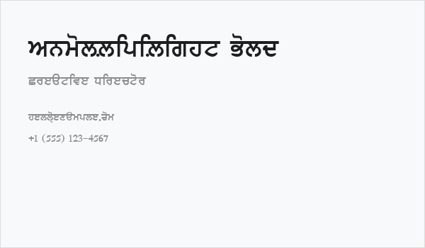 AnmolLipiLight Bold Business Card