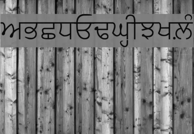 AnmolLipiLight Font examples