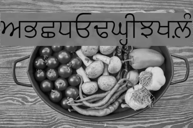 AnmolLipiLight Font examples