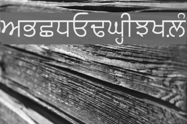 AnmolLipi Fuentes examples