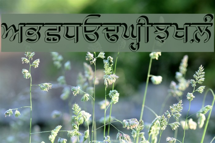 AnmolRaised Font examples