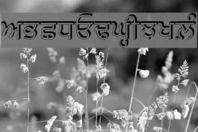 AnmolRaised फ़ॉन्ट examples