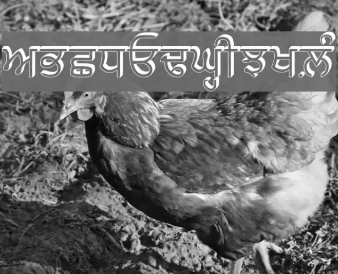 AnmolRaised फ़ॉन्ट examples