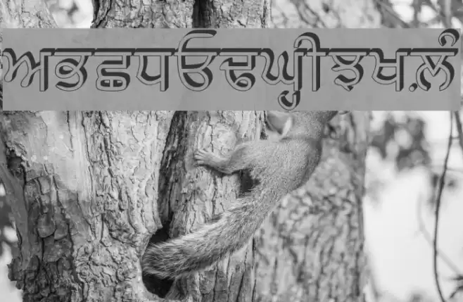 AnmolRaised फ़ॉन्ट examples