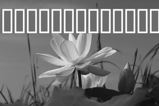 AnmolUni Bold Font examples