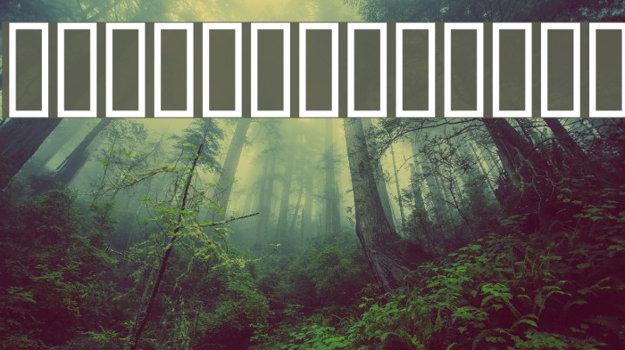 AnmolUniBani Font examples