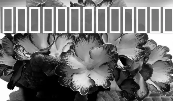 AnmolUniHeavy Regular Font examples