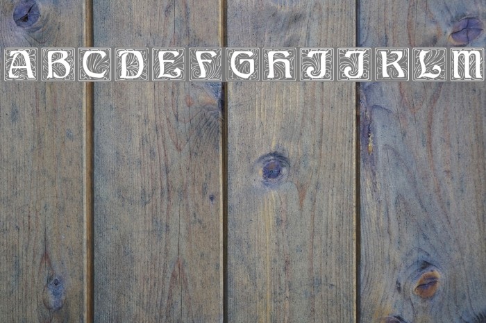 Ann Regular Font examples